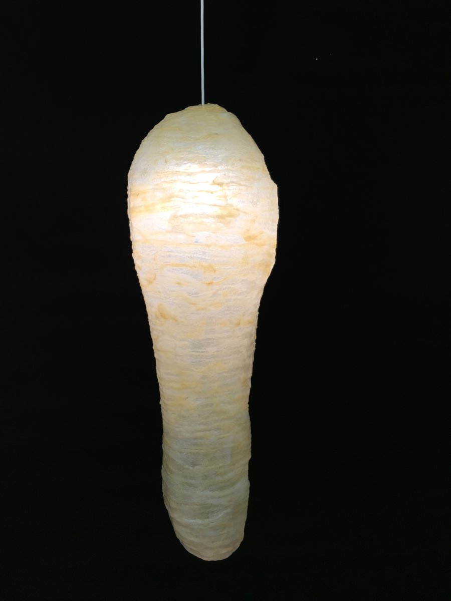 Meat Lamp 3 by Isaac Monté, 2016