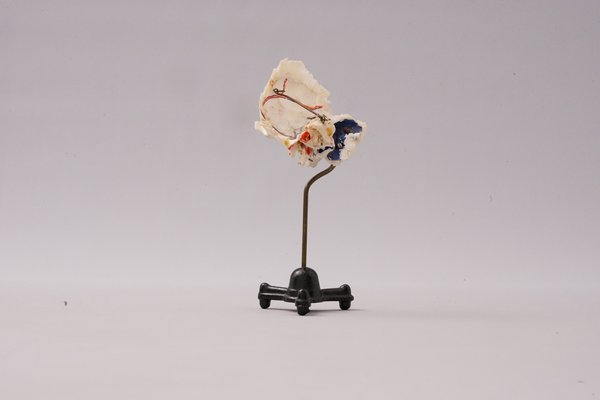 Medical Ear Recreation Object, 1900s-XNJ-1393197