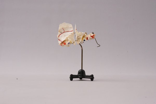 Medical Ear Recreation Object, 1900s-XNJ-1393197