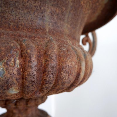 Medici Vase in Cast Iron-NYF-2019127