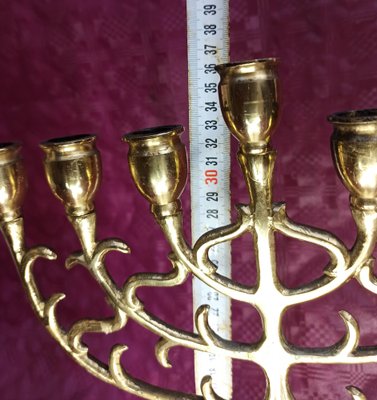 Menorah Candelabra with 7 Arms-ZVO-1122161