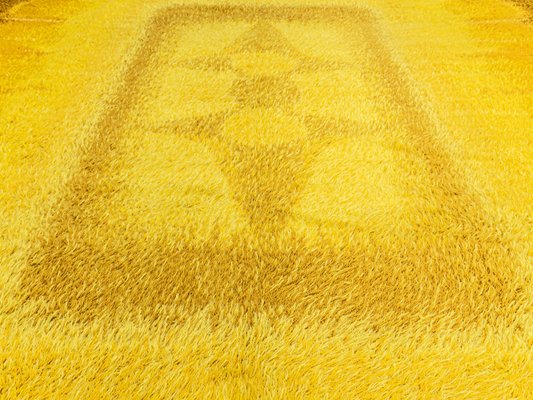 Menuette Rug from Desso, 1970s-GPP-956037