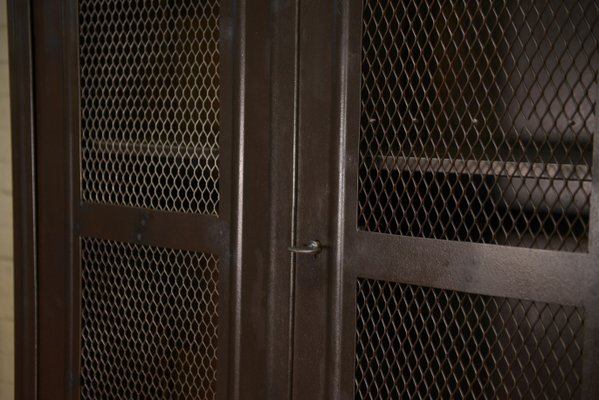 Mesh Cabinet with 2 Metal Doors from Tolix, 1950s-NEN-2041973