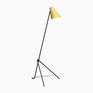 Metal Grasshopper Giraffe Floor Reading Lamp with Vanille Shade, Sweden, 1940s-JE-1802151