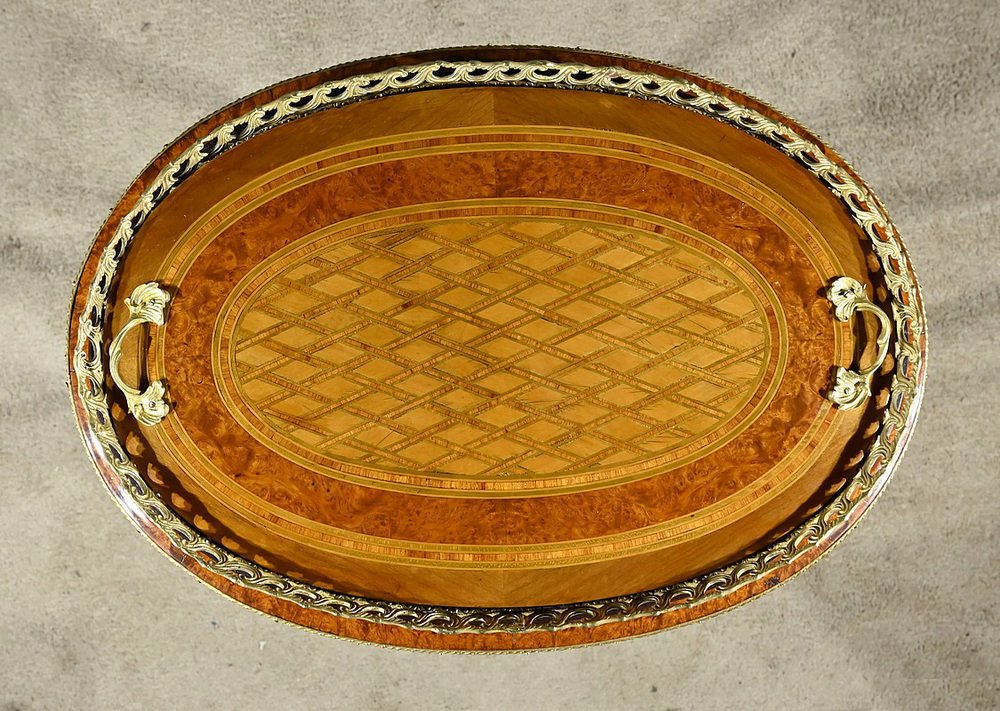 Mid-19th Century Napoleon III Planter in Precious Wood Marquetry