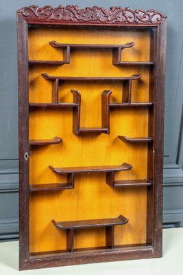 Mid-20th Century Ironwood Display Case, China-QKG-1819736