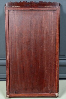 Mid-20th Century Ironwood Display Case, China-QKG-1819736