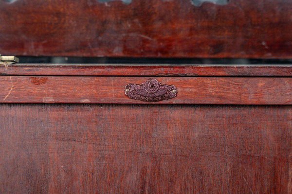 Mid-20th Century Ironwood Display Case, China-QKG-1819736