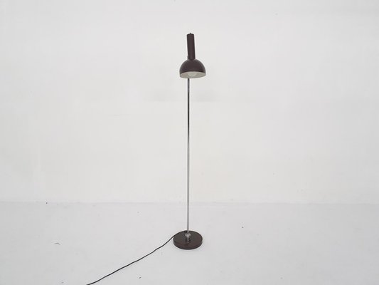 Mid-Century Adjustable Floor Lamp by H. Busquet for Hala, the Netherlands, 1950s-ZO-1189977