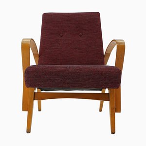 Mid-Century Armchair, Czechoslovakia, 1960s-TZ-824635