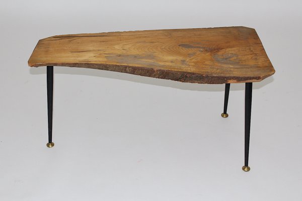 Mid-Century Austrian Solid Cherry Tree Trunk Coffee Table, 1950s-NB-584866