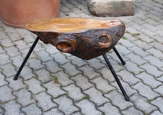 Mid-Century Austrian Solid Cherry Tree Trunk Coffee Table, 1950s-NB-584867