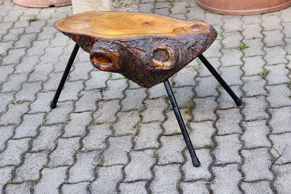 Mid-Century Austrian Solid Cherry Tree Trunk Coffee Table, 1950s-NB-584867