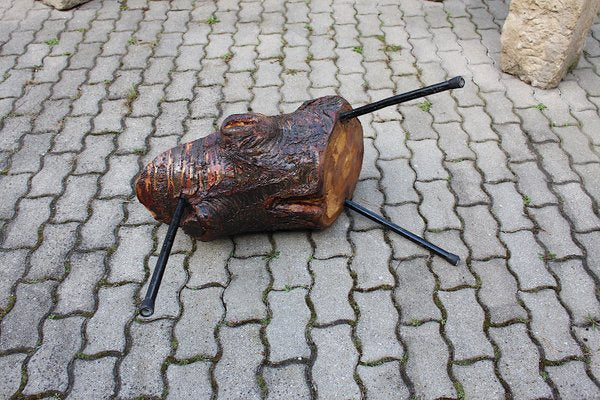 Mid-Century Austrian Solid Cherry Tree Trunk Coffee Table, 1950s-NB-584867