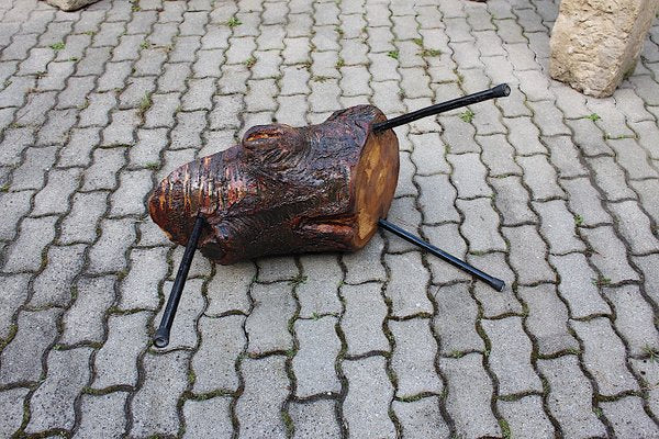 Mid-Century Austrian Solid Cherry Tree Trunk Coffee Table, 1950s-NB-584867