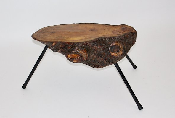 Mid-Century Austrian Solid Cherry Tree Trunk Coffee Table, 1950s-NB-584867