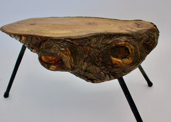 Mid-Century Austrian Solid Cherry Tree Trunk Coffee Table, 1950s-NB-584867