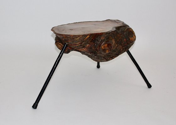 Mid-Century Austrian Solid Cherry Tree Trunk Coffee Table, 1950s-NB-584867