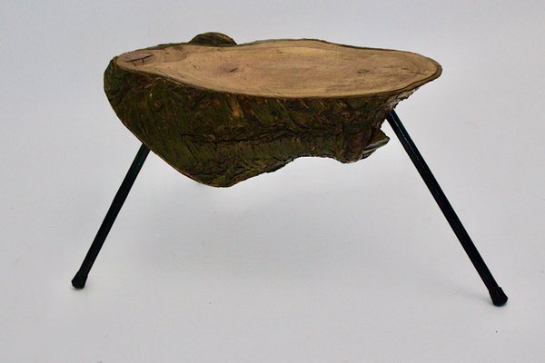 Mid-Century Austrian Solid Cherry Tree Trunk Coffee Table, 1950s-NB-584867