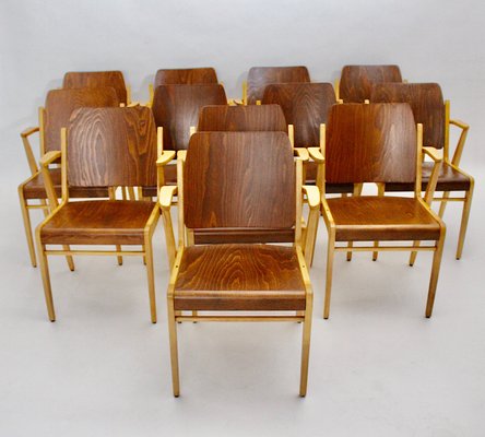 Mid-Century Austrian Stackable Armchairs by Franz Schuster, Set of 12-NB-604729