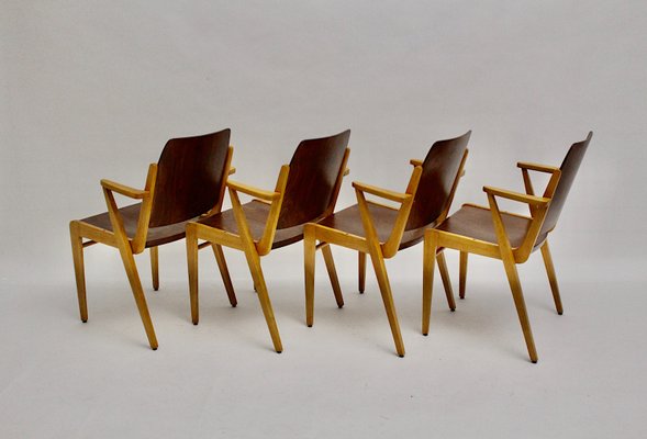 Mid-Century Austrian Stackable Armchairs by Franz Schuster, Set of 12-NB-604729