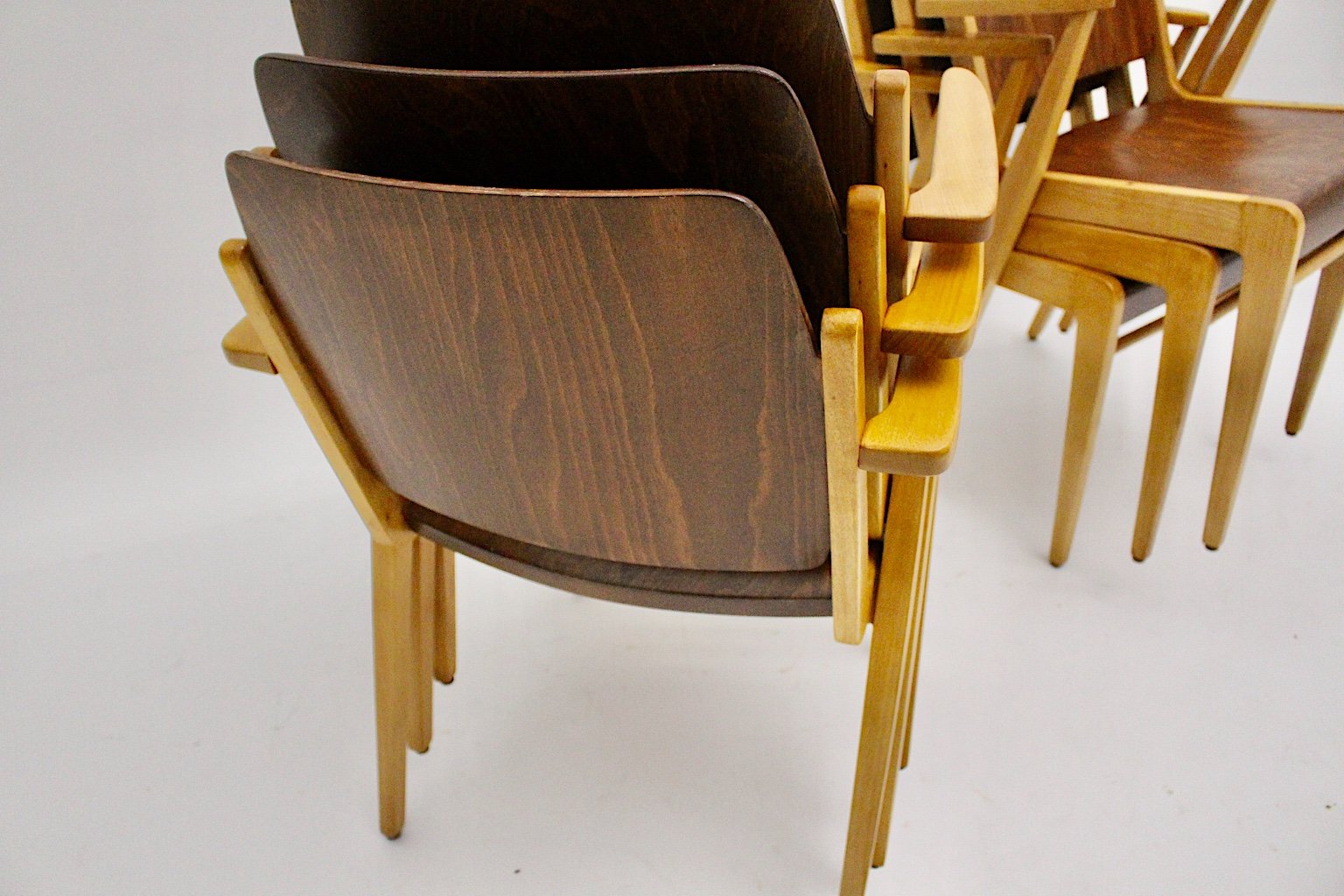 Mid-Century Austrian Stackable Armchairs by Franz Schuster, Set of 12