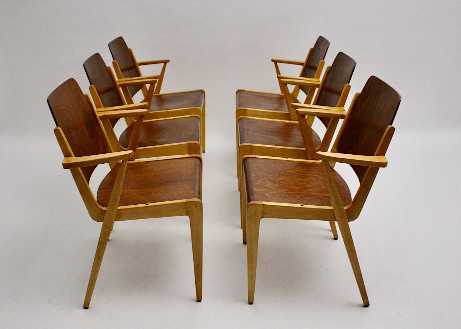 Mid-Century Austrian Stackable Armchairs by Franz Schuster, Set of 12