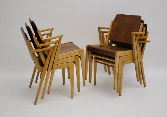 Mid-Century Austrian Stackable Armchairs by Franz Schuster, Set of 12-NB-604729