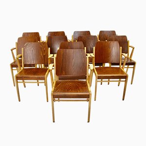 Mid-Century Austrian Stackable Armchairs by Franz Schuster, Set of 12-NB-604729