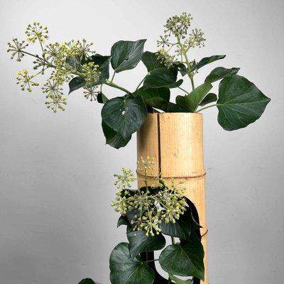 Mid-Century Bamboo Ikebana Ni-Ju-Giri Vase, Japan, 1950s-DWL-1736915