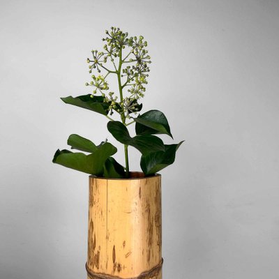 Mid-Century Bamboo Ikebana Ni-Ju-Giri Vase, Japan, 1950s-DWL-1736913