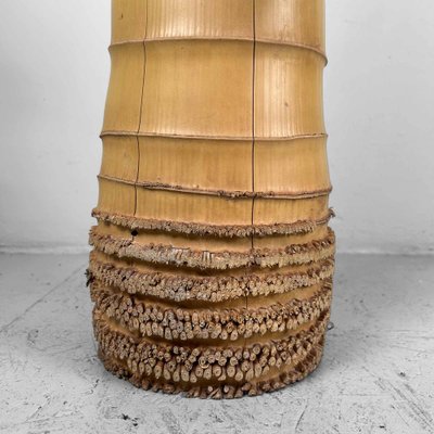 Mid-Century Bamboo Ikebana San-Ju-Giri Vase, Japan, 1950s-DWL-1736909