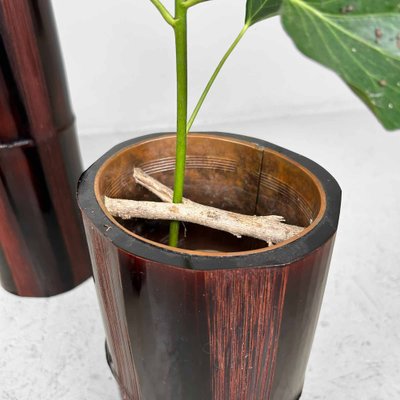 Mid-Century Bamboo Ikebana Set, Japan, 1950s, Set of 3-DWL-1736903