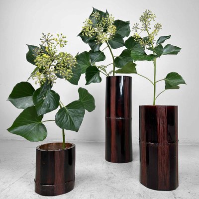 Mid-Century Bamboo Ikebana Set, Japan, 1950s, Set of 3-DWL-1736903