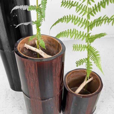 Mid-Century Bamboo Ikebana Set, Japan, 1950s, Set of 3-DWL-1736903