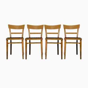 Mid-Century Bauhaus Chairs, 1950s, Set of 4-EJL-1322961