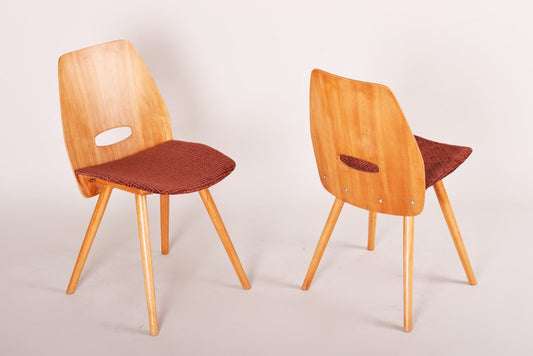 Mid-Century Beech Dining Chairs attributed to František Jirák for Tatra Nabykov, Slovakia, 1950s, Set of 5