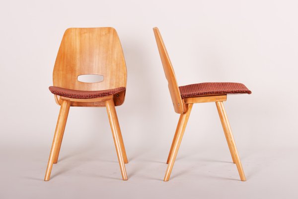 Mid-Century Beech Dining Chairs attributed to František Jirák for Tatra Nabykov, Slovakia, 1950s, Set of 5-WHY-1790695