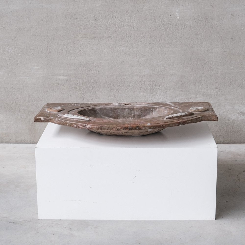 Mid-Century Belgian Ammonite Stone Sink