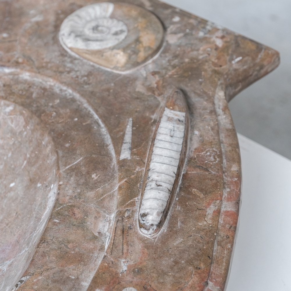 Mid-Century Belgian Ammonite Stone Sink