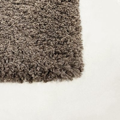 Mid-Century Belgian Brown & Grey Polypropylene Long-Haired Rug, 1970s-GDD-1215276