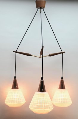 Mid-Century Belgian Teak with Frosted Optical Shade Tree Pendant Lights-MJY-1148805