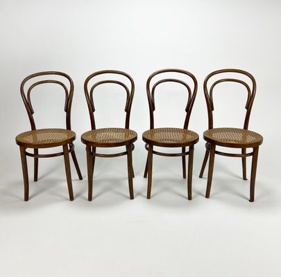 Mid-Century Bentwood & Cane Dining Chairs by Michael Thonet for ZPM Radomsko, 1960s, Set of 4-RMX-1139079