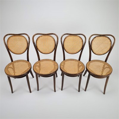 Mid-Century Bentwood & Cane Dining Chairs by Michael Thonet for ZPM Radomsko, 1960s, Set of 4-RMX-788471