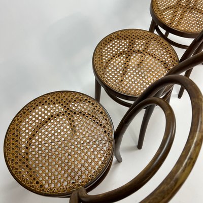 Mid-Century Bentwood & Cane Dining Chairs by Michael Thonet for ZPM Radomsko, 1960s, Set of 4-RMX-1139079