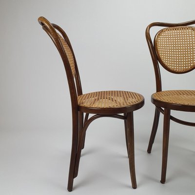 Mid-Century Bentwood & Cane Dining Chairs by Michael Thonet for ZPM Radomsko, 1960s, Set of 4-RMX-788471