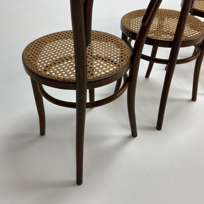 Mid-Century Bentwood & Cane Dining Chairs by Michael Thonet for ZPM Radomsko, 1960s, Set of 4-RMX-1139079