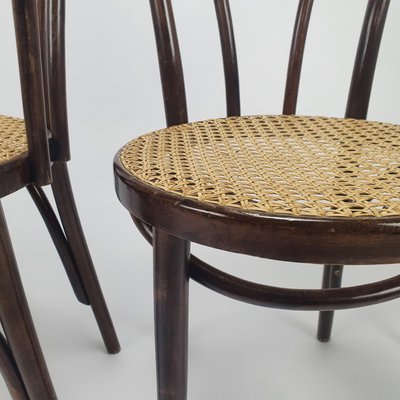 Mid-Century Bentwood & Cane Dining Chairs by Michael Thonet for ZPM Radomsko, 1960s, Set of 4-RMX-782855