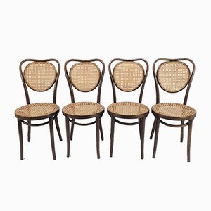 Mid-Century Bentwood & Cane Dining Chairs by Michael Thonet for ZPM Radomsko, 1960s, Set of 4-RMX-788471