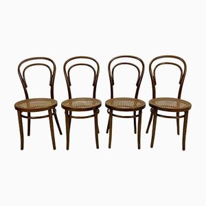 Mid-Century Bentwood & Cane Dining Chairs by Michael Thonet for ZPM Radomsko, 1960s, Set of 4-RMX-1139079